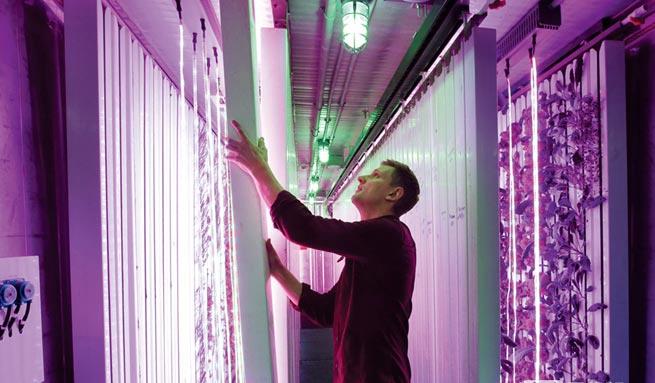 A tartály van kapcsolva, LED farm és más high-tech termesztése zöldségek, min...
